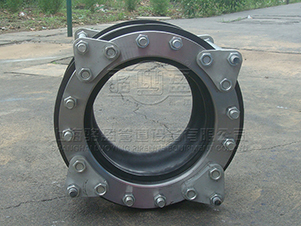 甘肅平?jīng)鍪旭樣p球體橡膠膨脹節(jié)產(chǎn)品圖